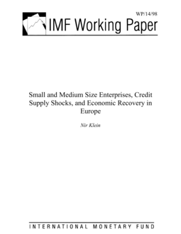 Small and Medium Size Enterprises, Credit Supply Shocks, and Economic  Recovery in Europe - Overton