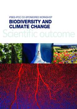 Multi-temporal ecological niche modeling for bird conservation in the face  of climate change scenarios in Caatinga, Brazil [PeerJ]