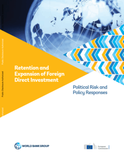 Retention and Expansion of Foreign Direct Investment : Political Risk ...